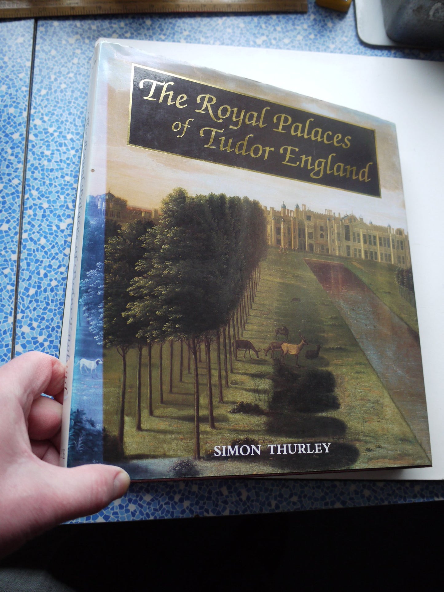 The Royal Palaces of Tudor England: Architecture and Court Life, 1460-1547 (Paul Mellon Centre for Studies in Britis)