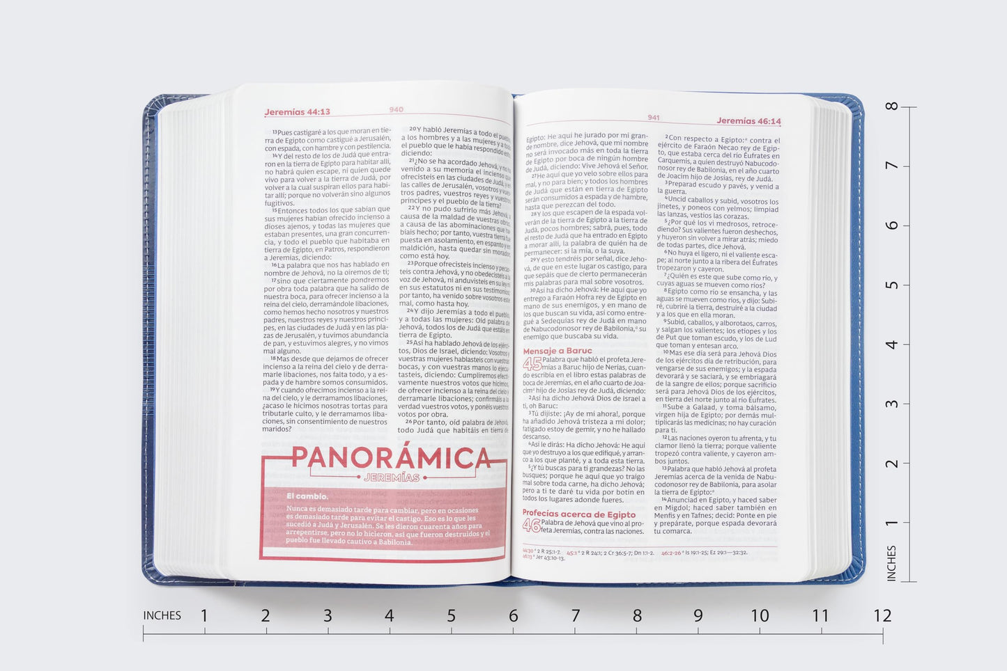 RVR60, Biblia de Estudio para Jvenes Adolescentes, Leathersoft, Azul, Palabras de Jess en Rojo, Comfort Print (Spanish Edition)