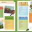 Nature School: In the Garden: Lessons and Activities to Cultivate Childrens Connection to the Natural World