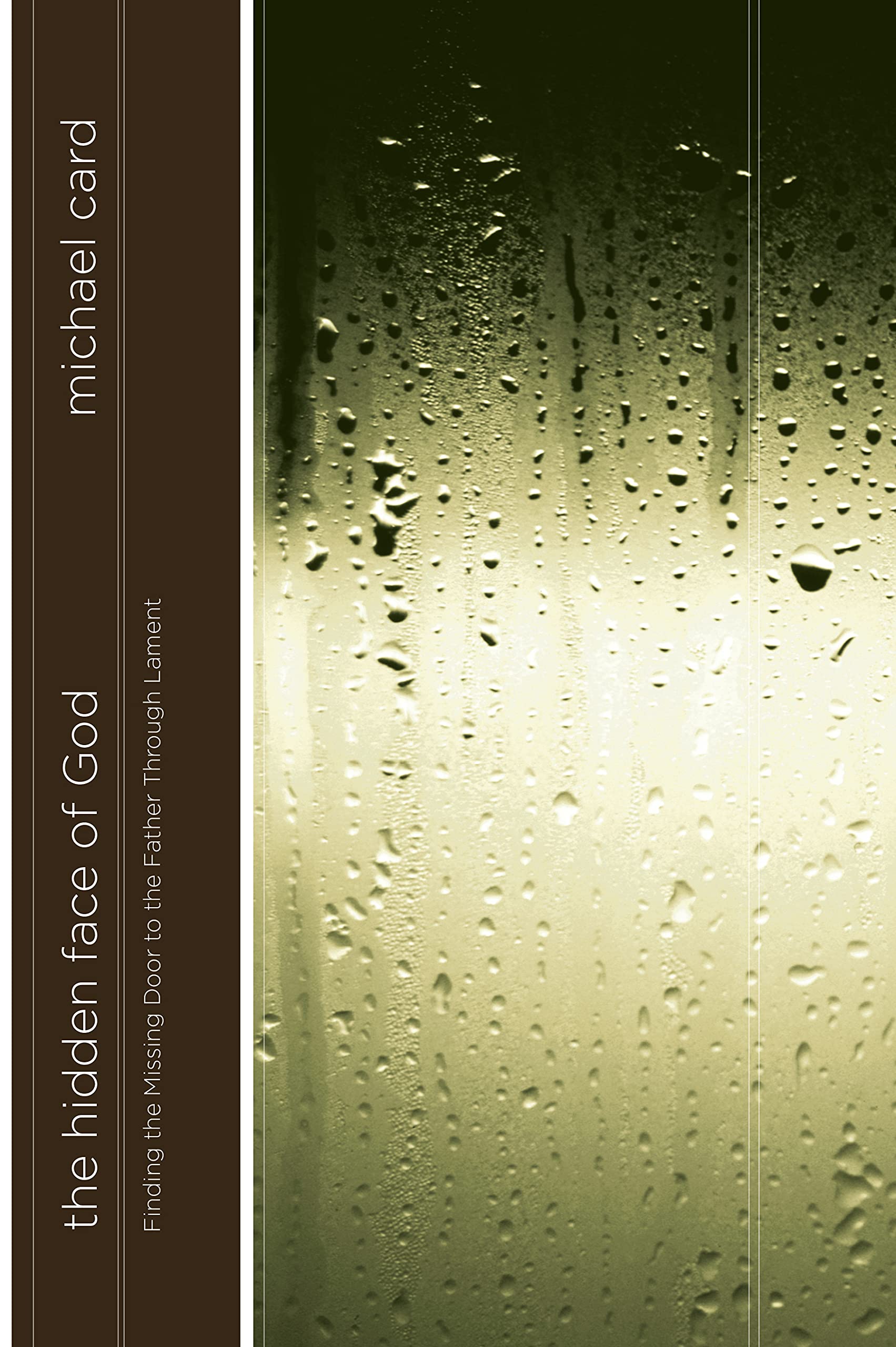 The Hidden Face of God: Finding the Missing Door to the Father Through Lament
