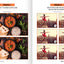 Spot The Difference Puzzle Books, Picture Puzzle Books for Adults and Kids with Over 15 Picture Puzzles, Train Your Brain with Fun Puzzle Activities for All Ages, Volume 1