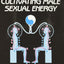 Taoist Secrets of Love: Cultivating Male Sexual Energy
