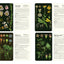 50 Plants that Heal: Discover Medicinal Plants - A Card Deck