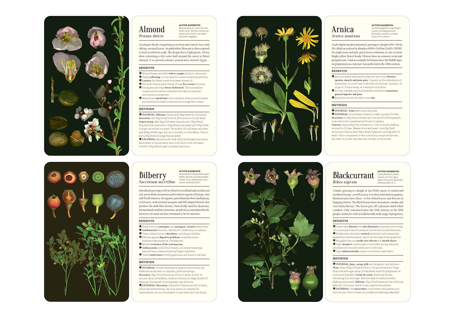 50 Plants that Heal: Discover Medicinal Plants - A Card Deck
