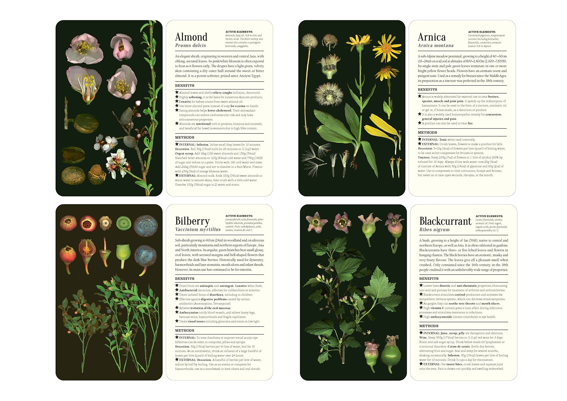 50 Plants that Heal: Discover Medicinal Plants - A Card Deck
