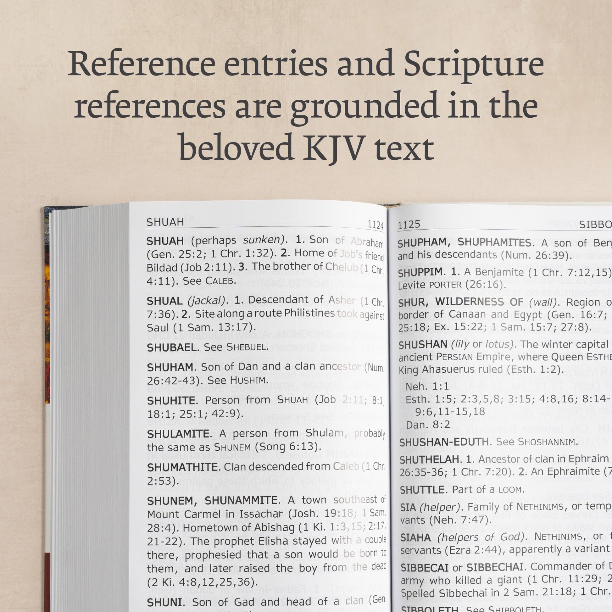 KJV Super Giant Print Dictionary & Concordance