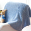 I Can't Believe I'm Loom Knitting-18 Projects to Make Hats, Scarves, Afghans and More, all Without Knitting Needles