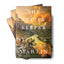 The Letter Keeper (A Murphy Shepherd Novel)