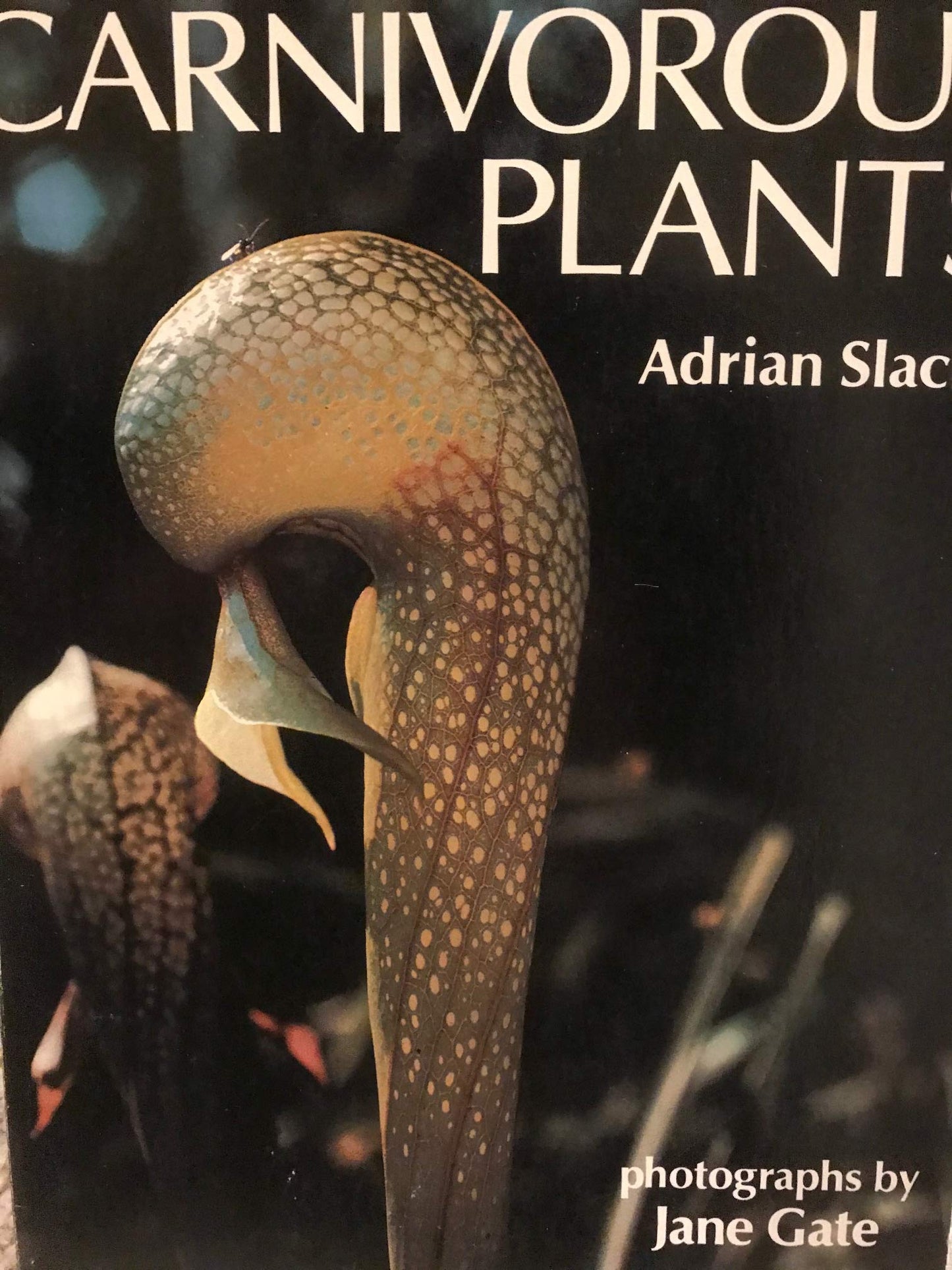 Carnivorous Plants by Adrian Slack