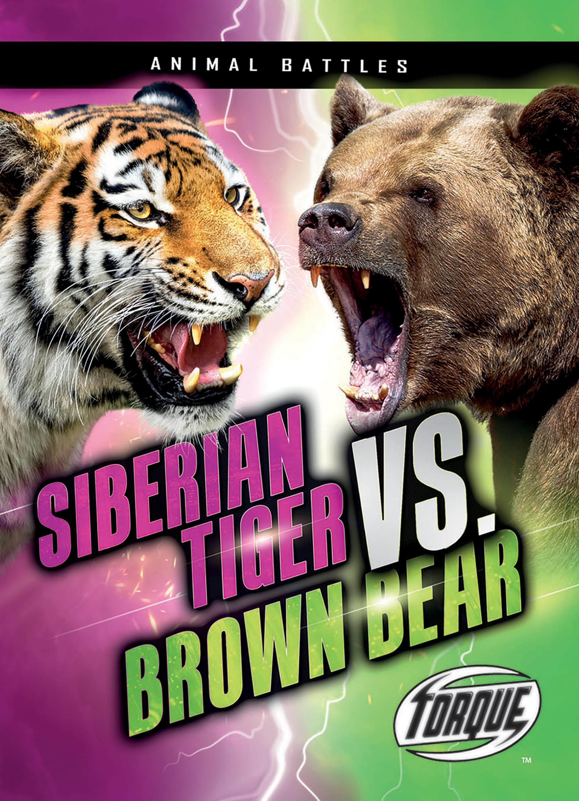 Siberian Tiger vs. Brown Bear (Animal Battles)