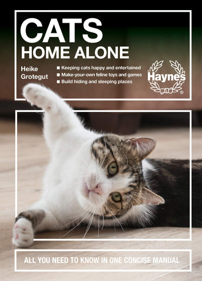 Cats Home Alone: All You Need to Know in One Concise Manual - Keeping cats happy and entertained - Make-you-own feline toys and games - Build hiding and sleeping places (Concise Manuals)