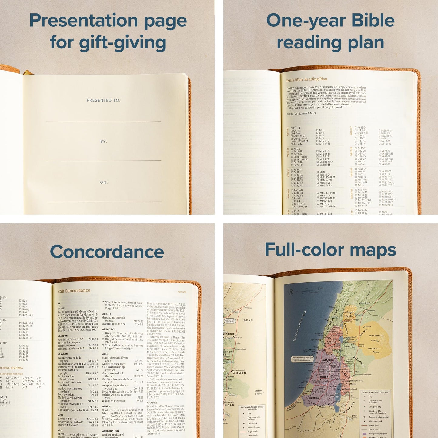 CSB Notetaking Bible, Large Print Edition, Camel LeatherTouch, Black Letter, Wide Margins, Journaling Space, Single-Column, Reading Plan, Easy-to-Read Bible Serif Type