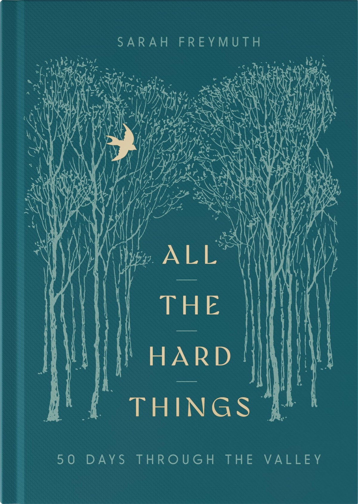 All the Hard Things: 50 Days Through the Valley