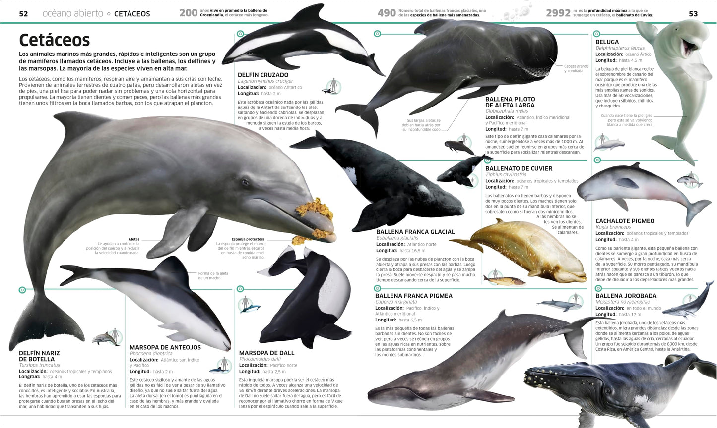 Ocanos (Knowledge Encyclopedia Ocean!): El planeta bajo el agua como nunca antes lo habas visto (Spanish Edition)