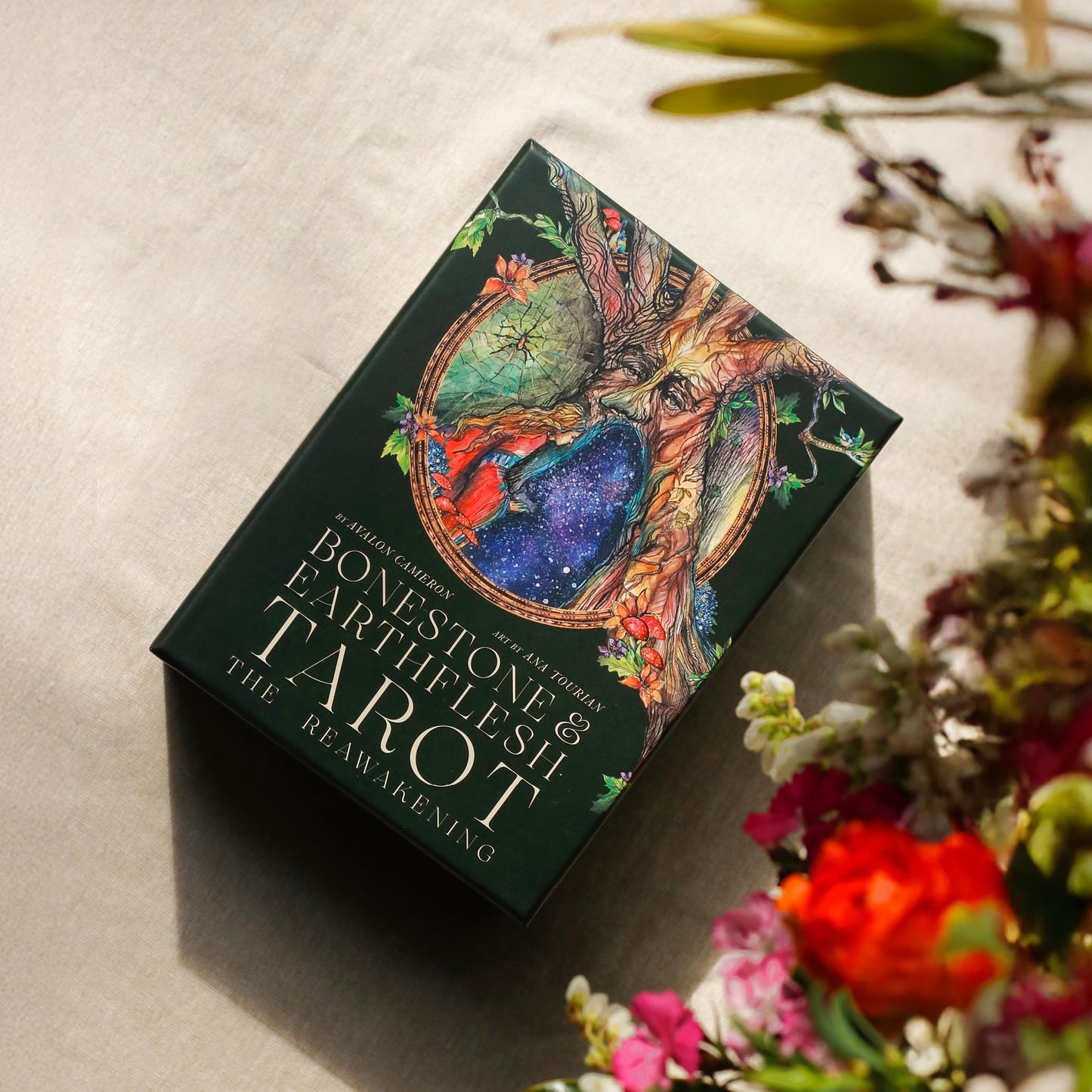 Bonestone & Earthflesh Tarot: The Reawakening