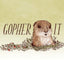 Have a Little Pun: An Illustrated Play on Words (Book of Puns, Pun Gifts, Punny Gifts)