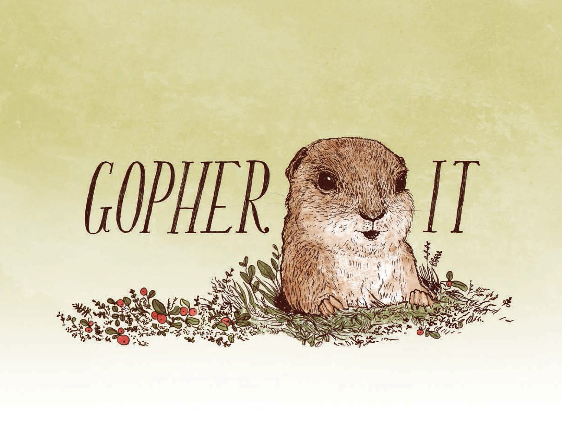 Have a Little Pun: An Illustrated Play on Words (Book of Puns, Pun Gifts, Punny Gifts)