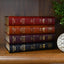 Saint Joseph New Catholic Bible (Large Type) [Imitation Leather] Catholic Book Publishing