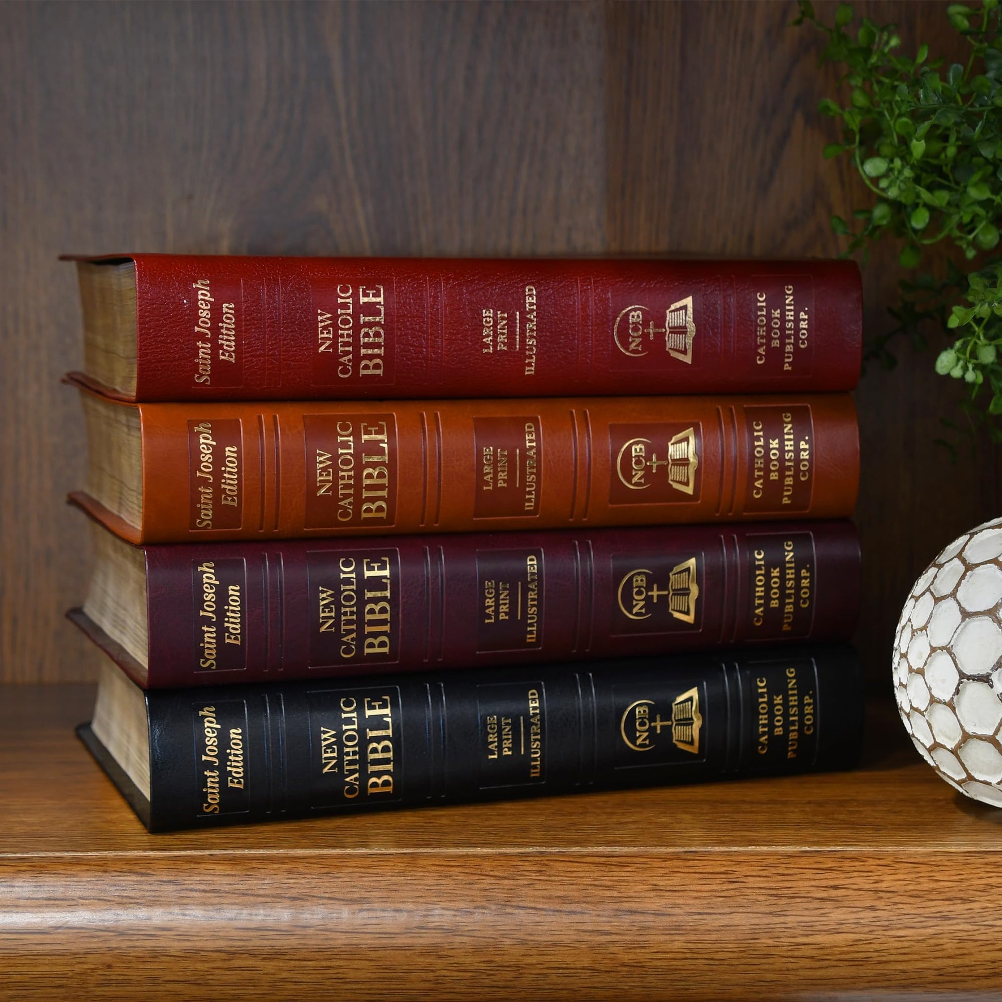 Saint Joseph New Catholic Bible (Large Type) [Imitation Leather] Catholic Book Publishing