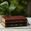 NABRE, New American Bible, Revised Edition, Catholic Bible, Large Print Edition, Leathersoft, Brown, Thumb Indexed, Comfort Print: Holy Bible