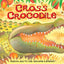 Cross Crocodile (African Animal Tales)