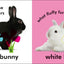 Baby Touch and Feel: Bunny