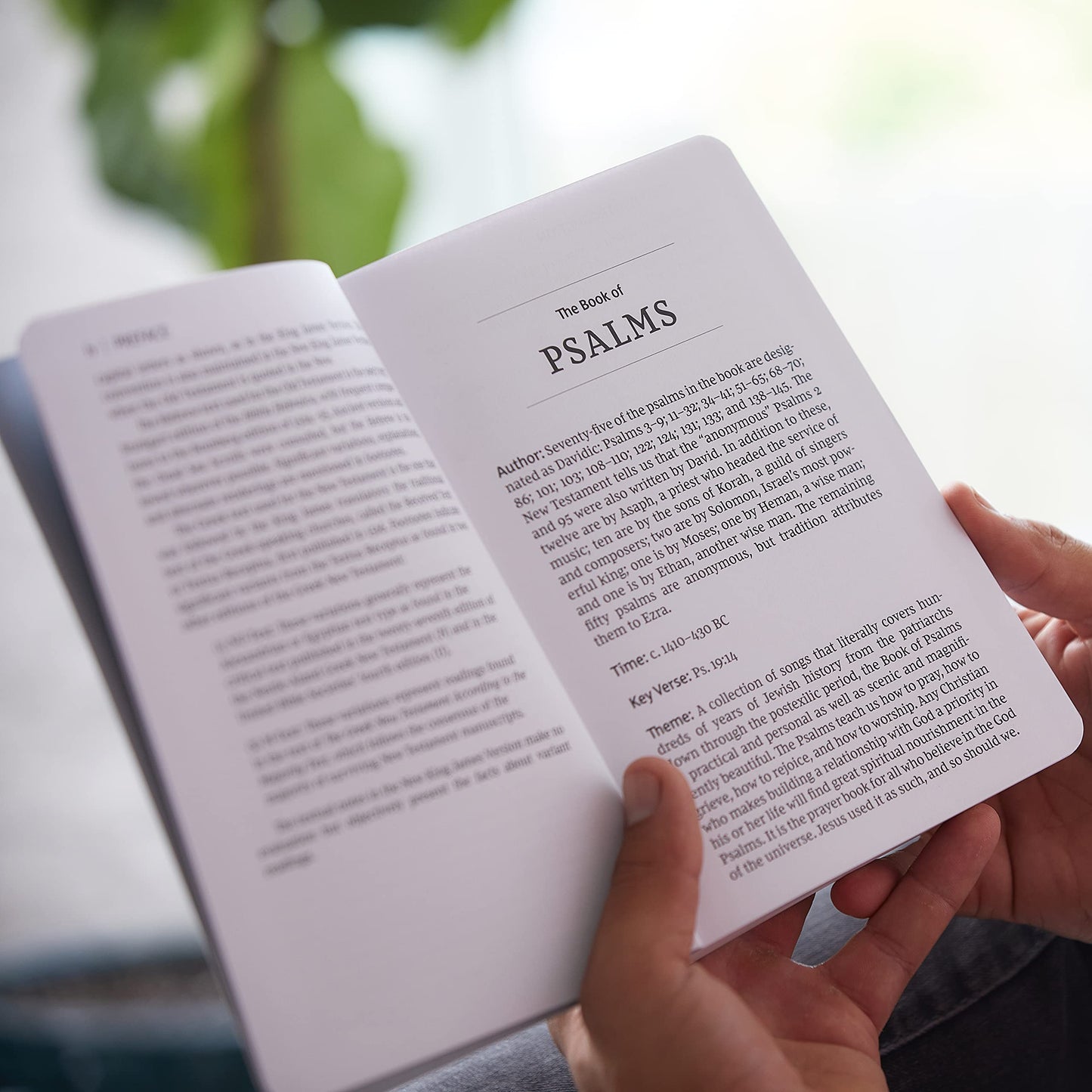 NKJV Bible Journal - Psalms, Paperback, Comfort Print: Holy Bible, New King James Version
