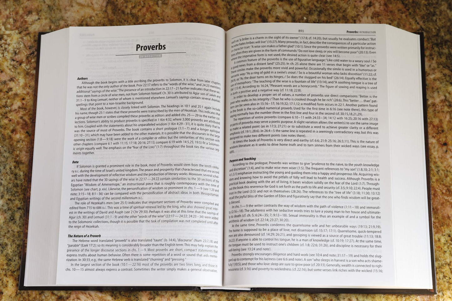 NASB Zondervan Study Bible