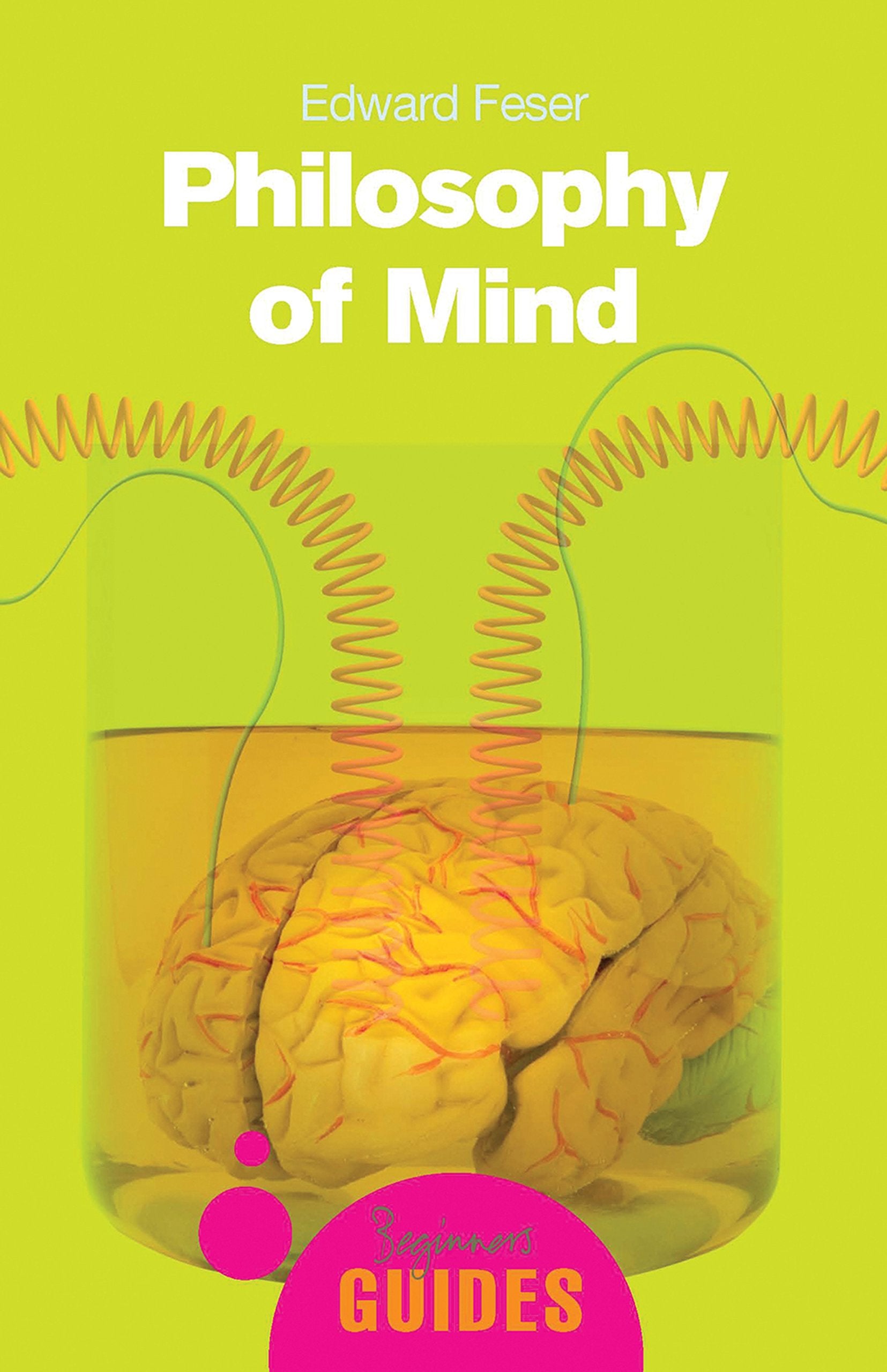 Philosophy of Mind (A Beginners Guide)