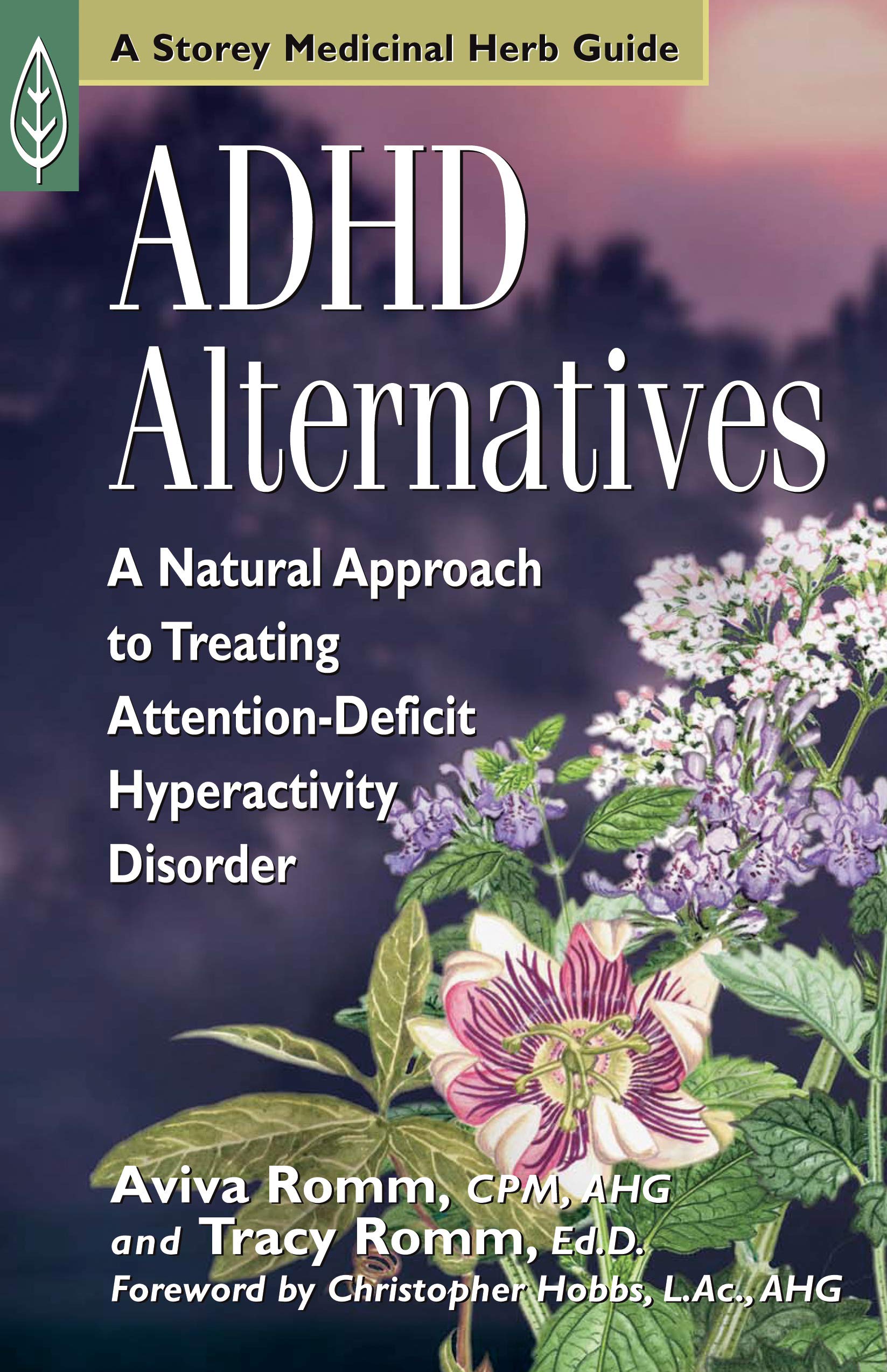 ADHD Alternatives: A Natural Approach to Treating Attention Deficit Hyperactivity Disorder