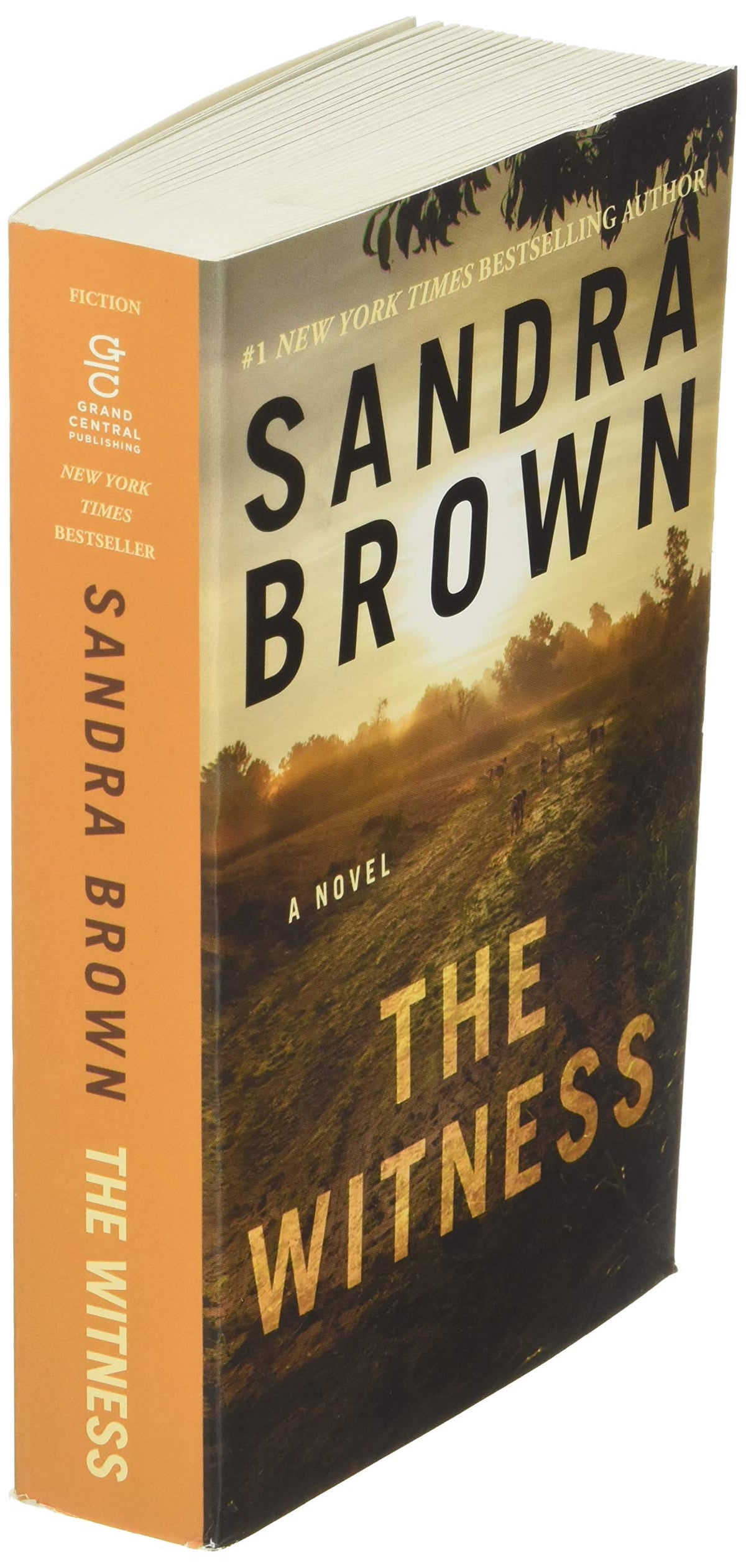 The Witness
