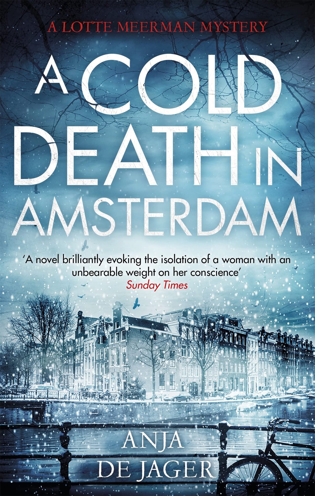A Cold Death in Amsterdam (Lotte Meerman)