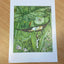 The Art of Elsa Beskow: 20 Pull-Out Frameable Prints: Vintage Scandinavian Wall Prints