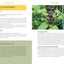 Pacific Harvest: A Northwest Coast Foraging Guide