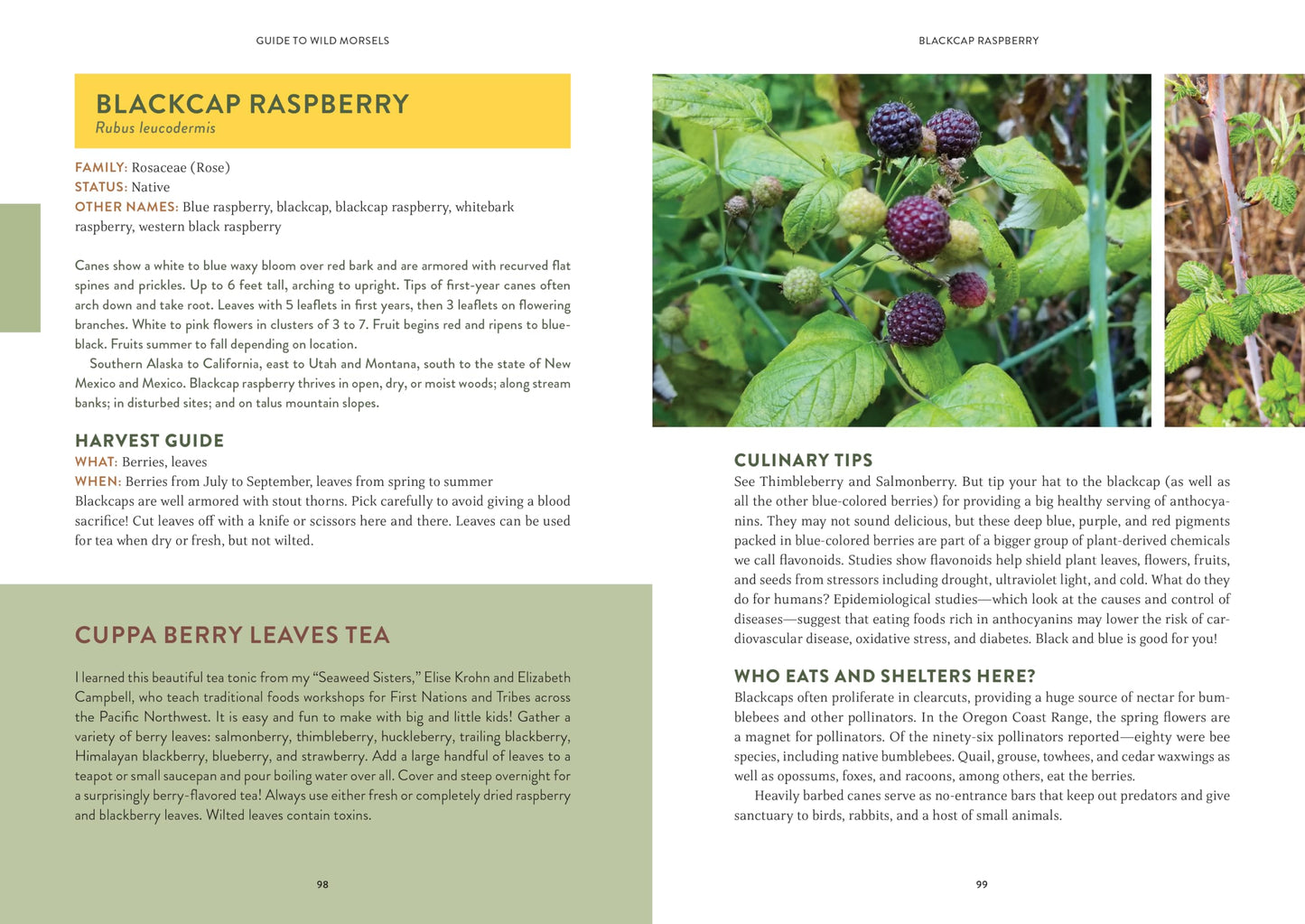 Pacific Harvest: A Northwest Coast Foraging Guide