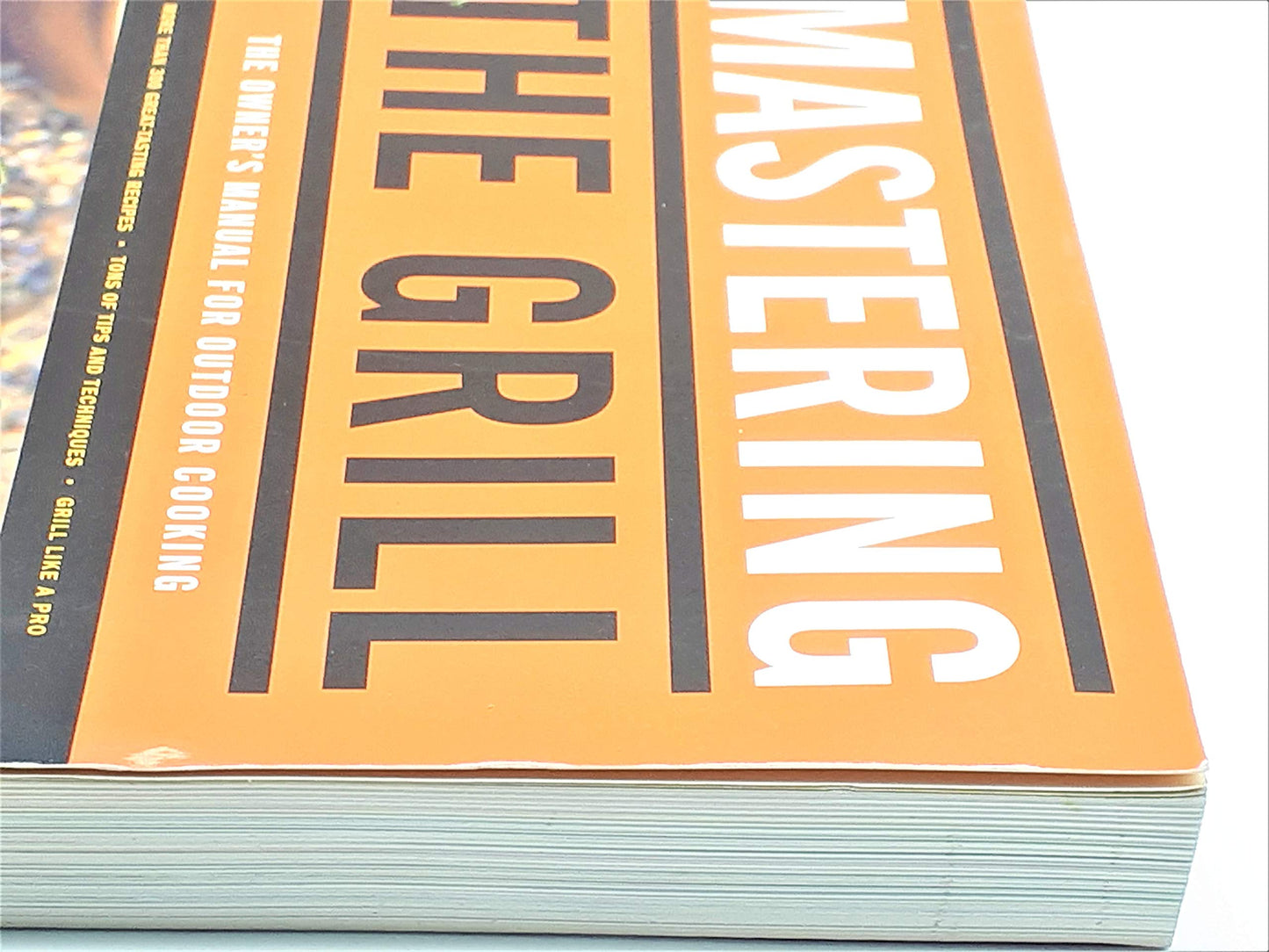 Mastering the Grill: The Owner's Manual for Outdoor Cooking