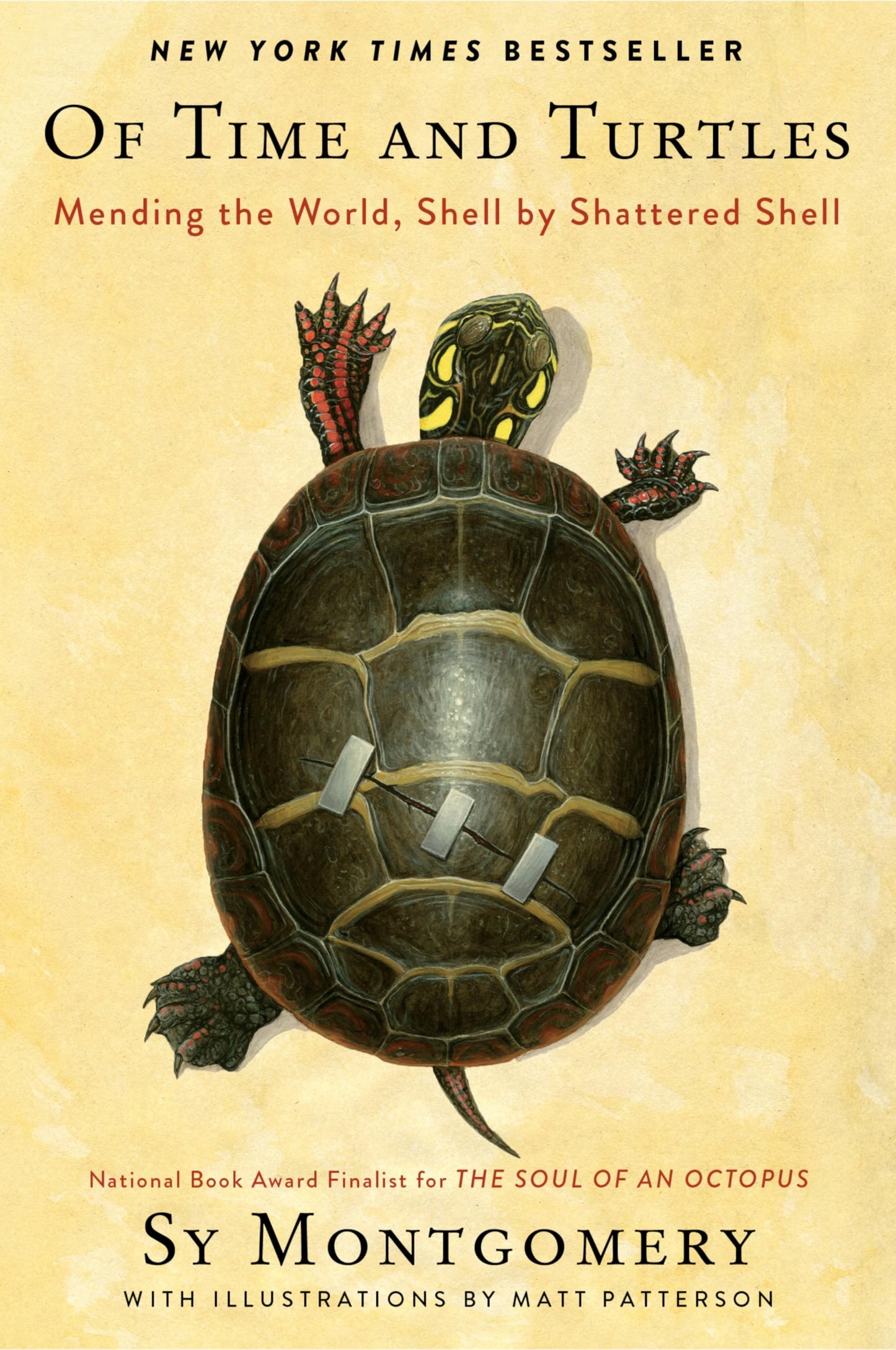 Of Time and Turtles: Mending the World, Shell by Shattered Shell: A heartwarming compassionate portrait of injured turtles, perfect for nature lovers.
