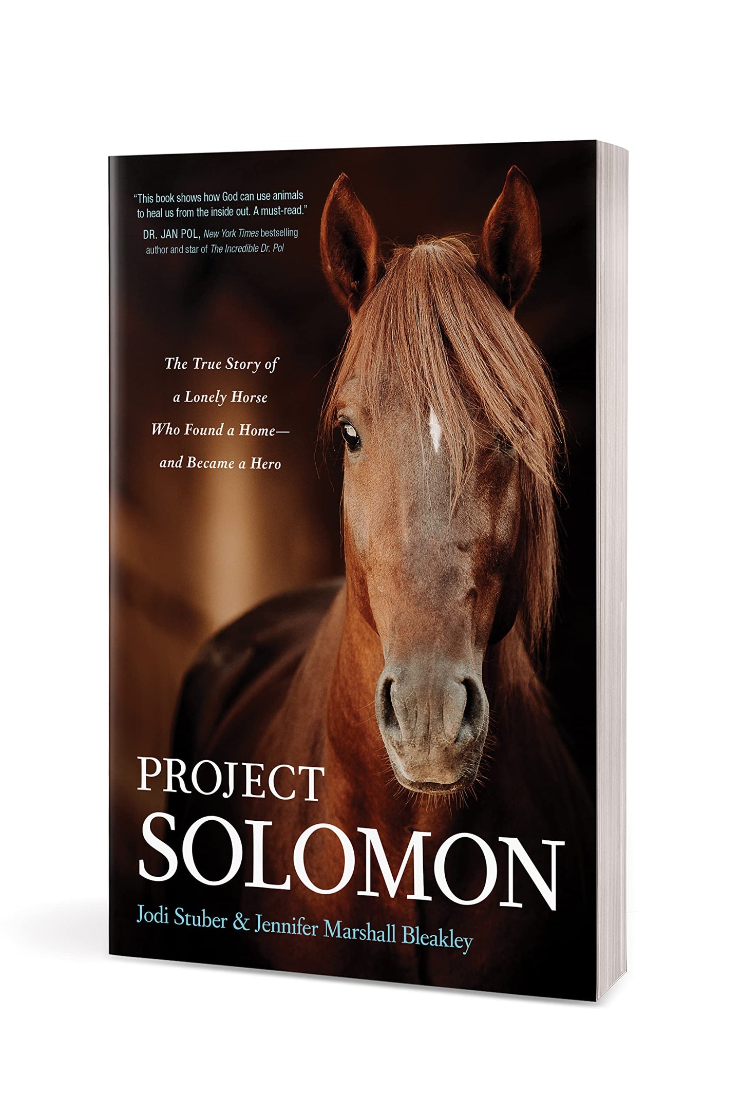 Project Solomon: The True Story of a Lonely Horse Who Found a Home--and Became a Hero
