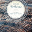 Beside Bethesda: 31 Days Toward Deeper Healing