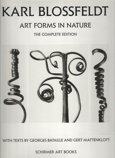 Karl Blossfeldt: Art Forms in Nature by Bataille, Georges
