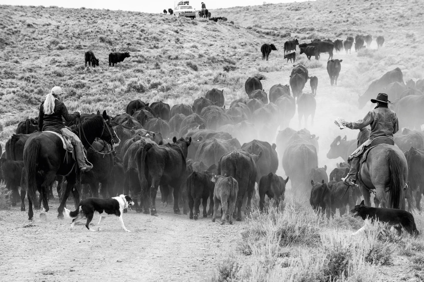 A Ranch Year: Cowboys of the West