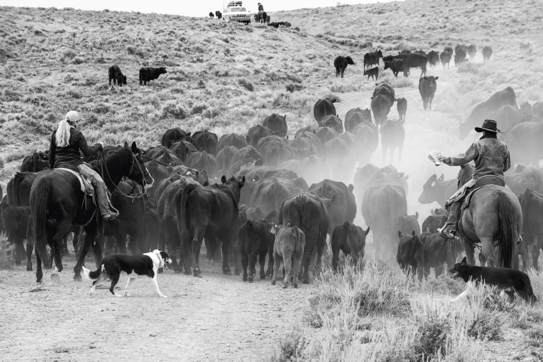 A Ranch Year: Cowboys of the West