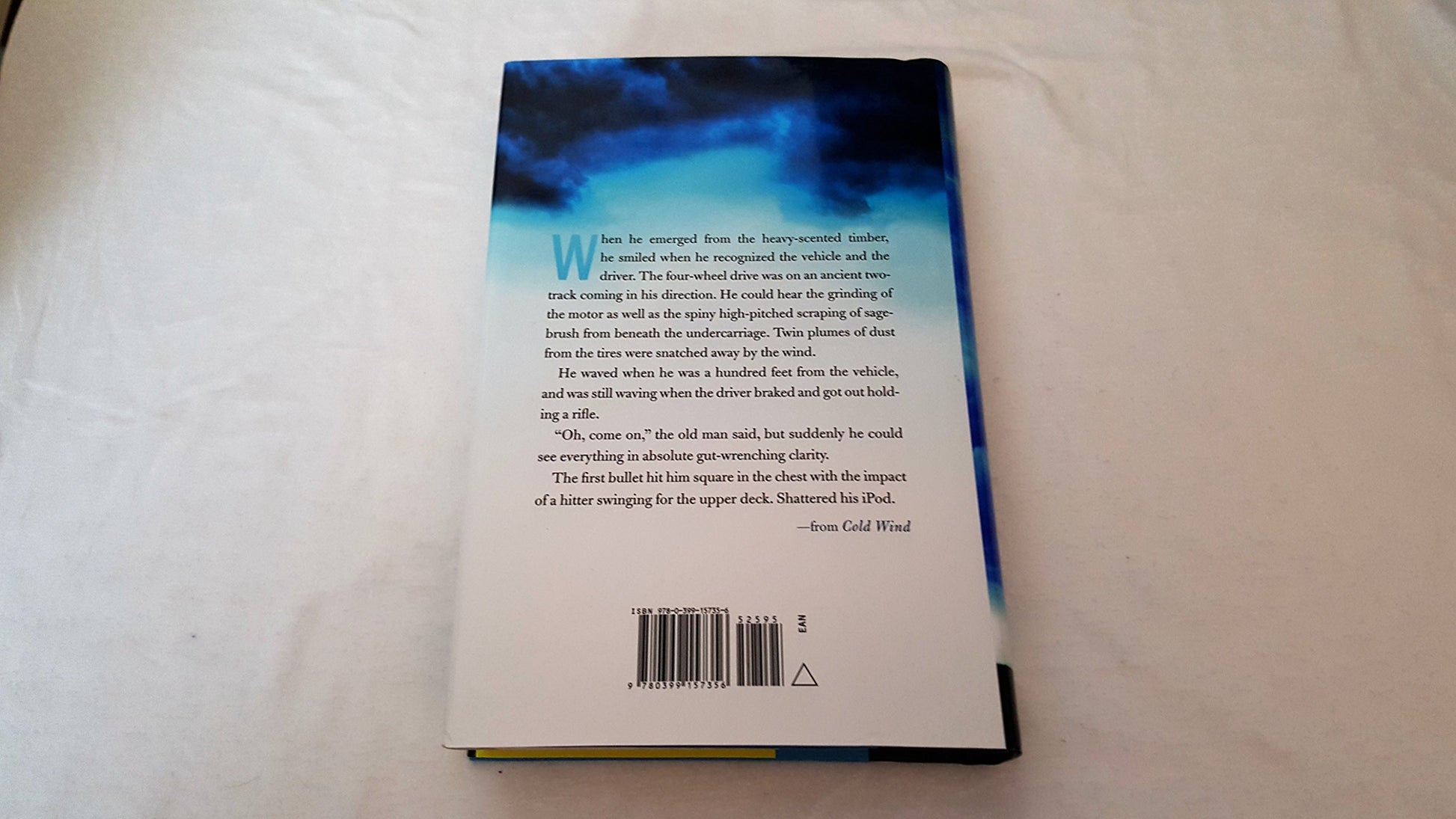 Cold Wind (A Joe Pickett Novel)