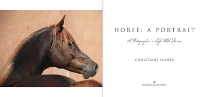 Horse: A Portrait: A Photographer's Life With Horses