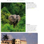 Ghana (Bradt Travel Guide Ghana)