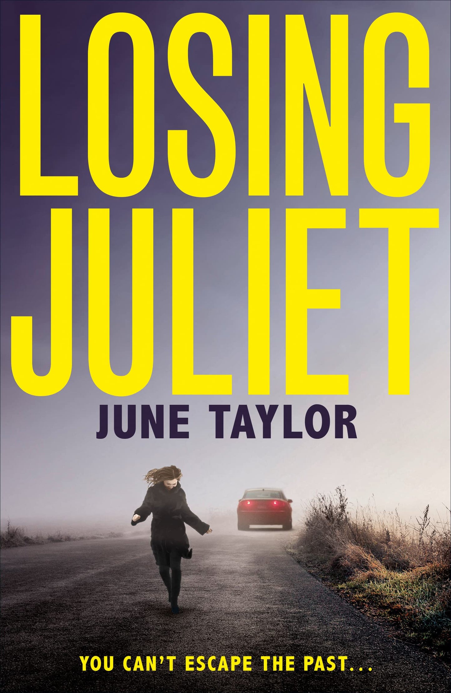 Losing Juliet: A gripping psychological thriller with twists you wont see coming