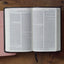 ESV Premium Church Bible (TruTone, Black)