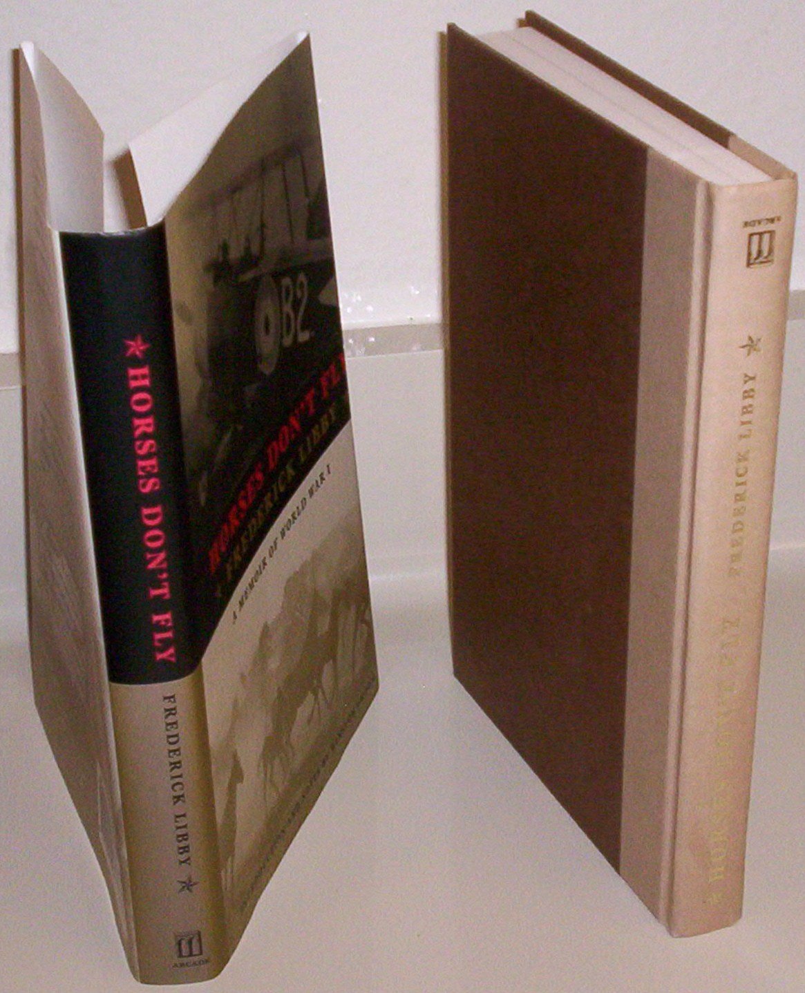 Horses Don't Fly: A Memoir of World War I