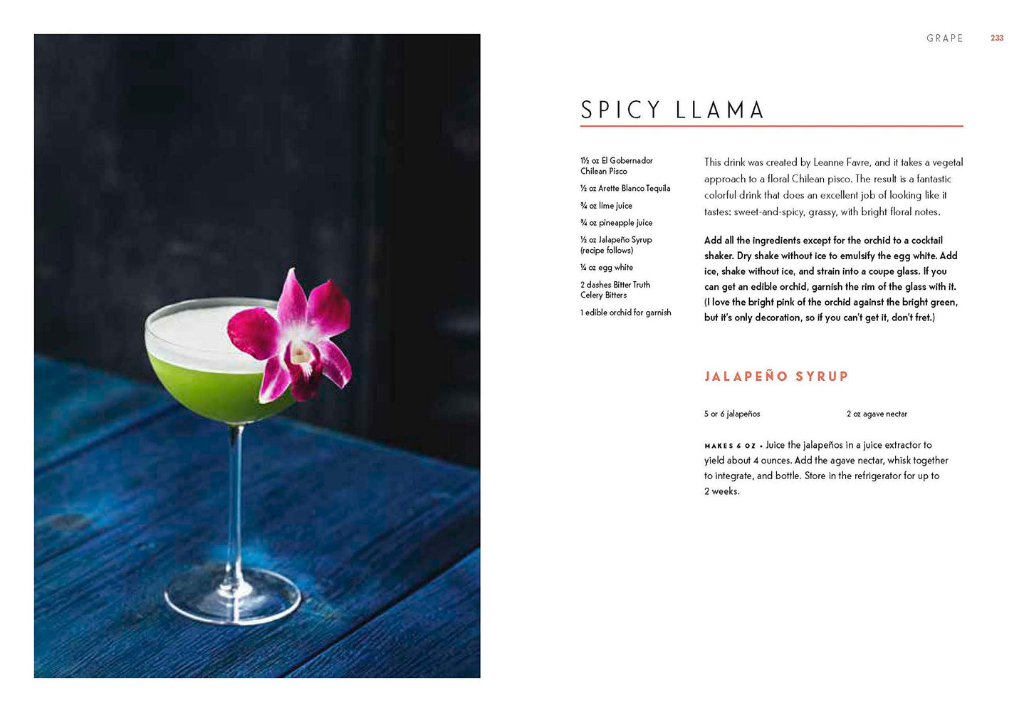 Spirits of Latin America: A Celebration of Culture & Cocktai
