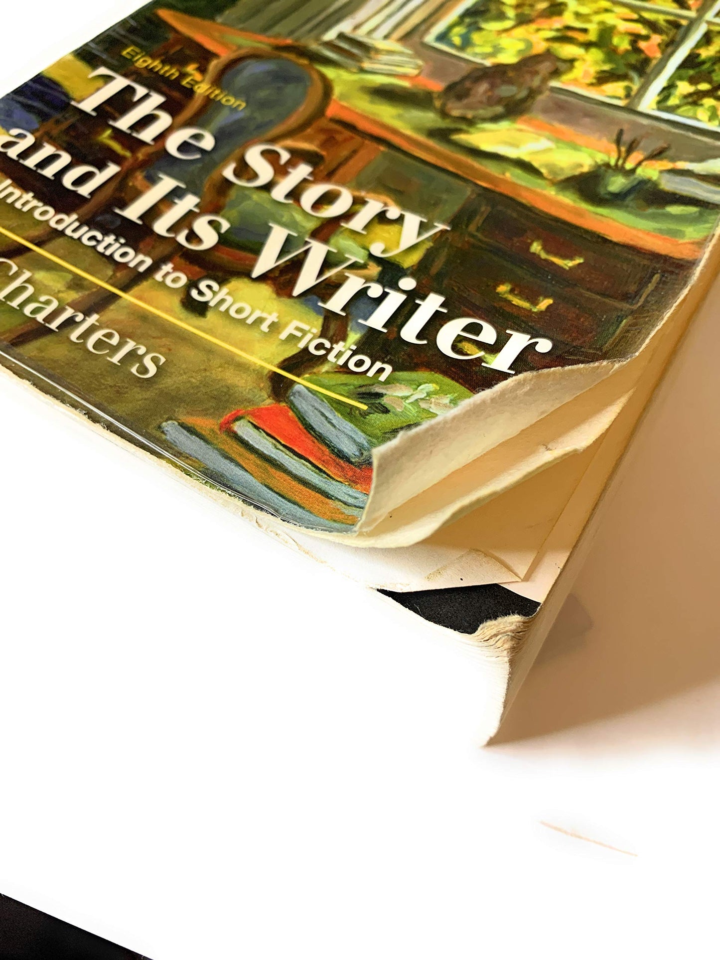 The Story and Its Writer: An Introduction to Short Fiction b